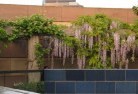 Adelaide Hillsgazebos-pergolas-and-shade-structures-3.jpg; ?>