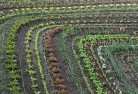 Adelaide Hillsorganic-gardening-10.jpg; ?>