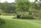 Adelaide Hillsplanting-garden-and-landscape-design-51.jpg; ?>